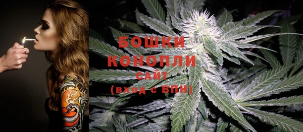 не бодяженный Вяземский