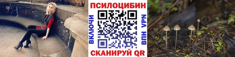 наркота  Вятские Поляны  Галлюциногенные грибы прущие грибы 