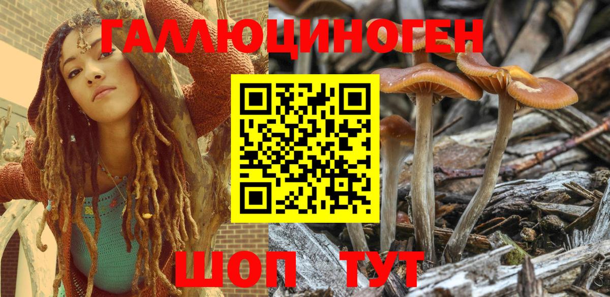 Галлюциногенные грибы GOLDEN TEACHER Вятские Поляны