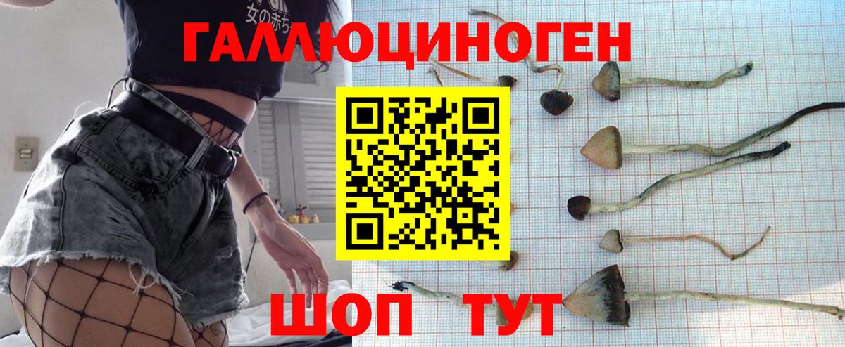 Вятские Поляны  Псилоцибиновые грибы Cubensis  цены наркотик  Вход с VPN 